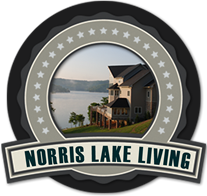 Hiwassee Homes for Sale on Norris Lake